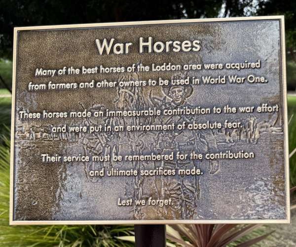 War Horses - Wedderburn