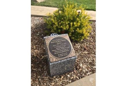Ashes with rock border on grey granite tall sloper